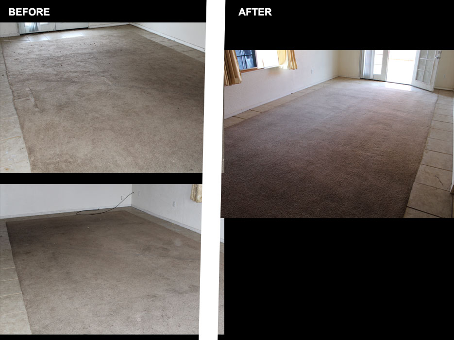 carpet cleaning